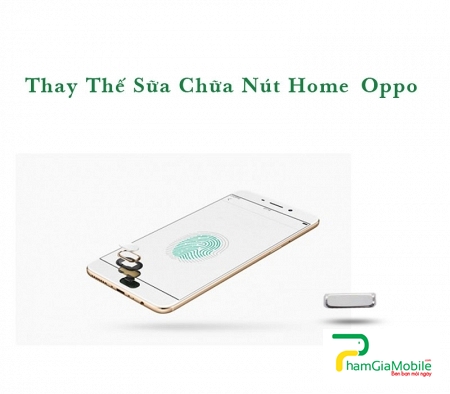 Thay Thế Sửa Chữa Hư Liệt Nút Home Oppo N1 Mini Chính Hãng 